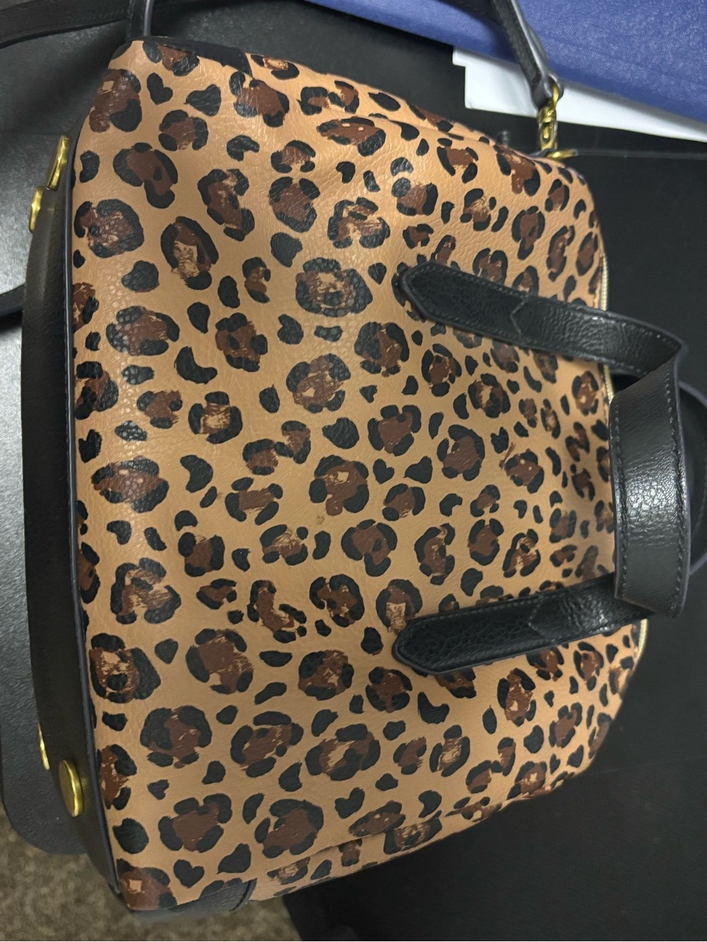 Fossil Sydney Leopard Print Satchel